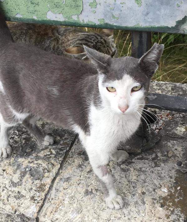 multimedia-foto62804-386-1