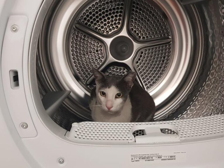 multimedia-foto62805-386-1