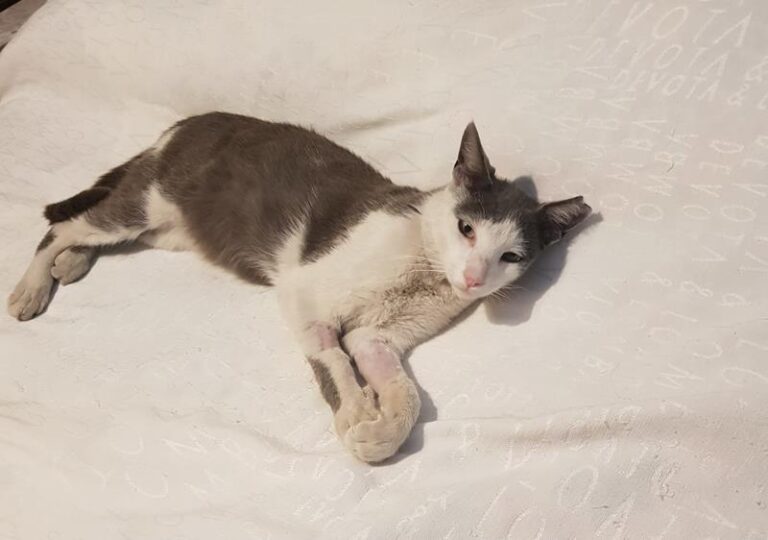 multimedia-foto62806-387-1