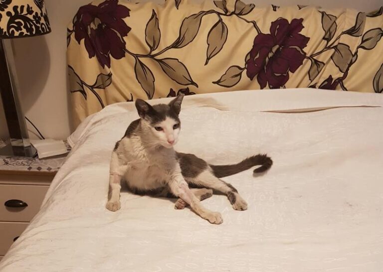 multimedia-foto62807-387-1