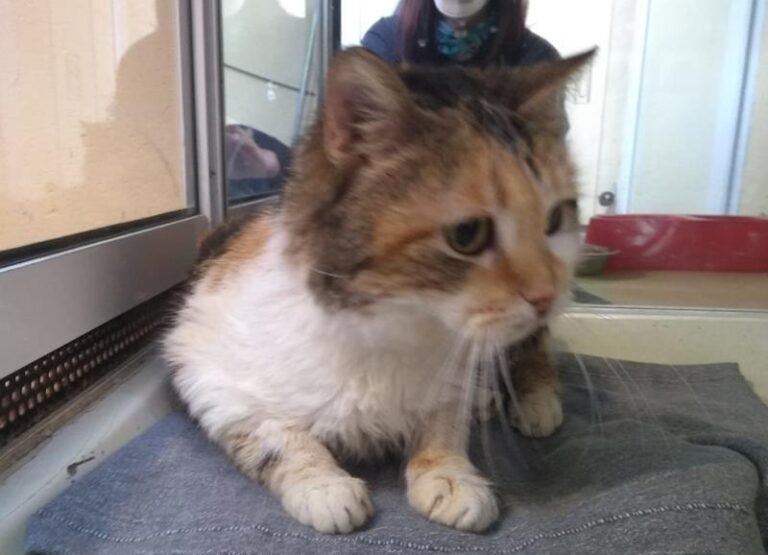 multimedia-foto62817-28-1