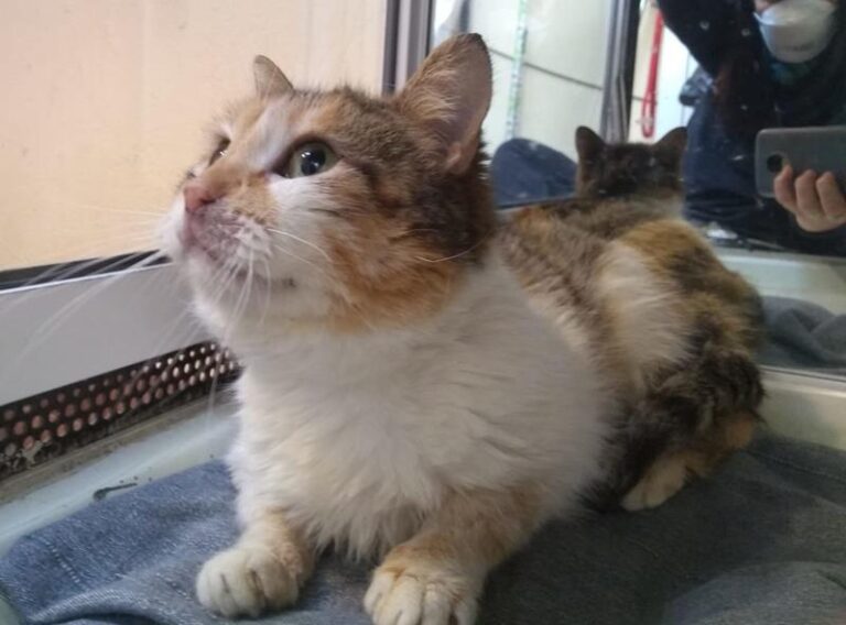 multimedia-foto62819-29-1