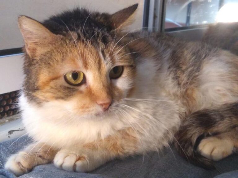 multimedia-foto62820-29-1