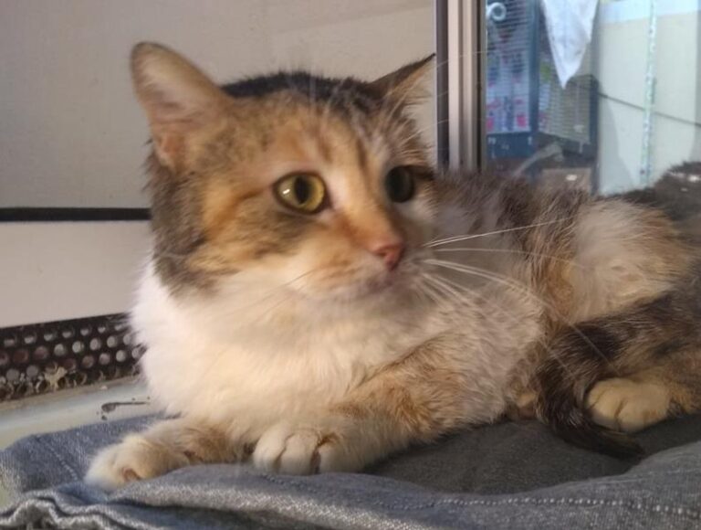 multimedia-foto62822-29-1