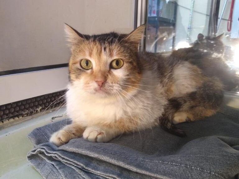 multimedia-foto62823-29-1