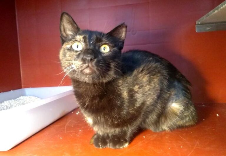 multimedia-foto62828-466-1