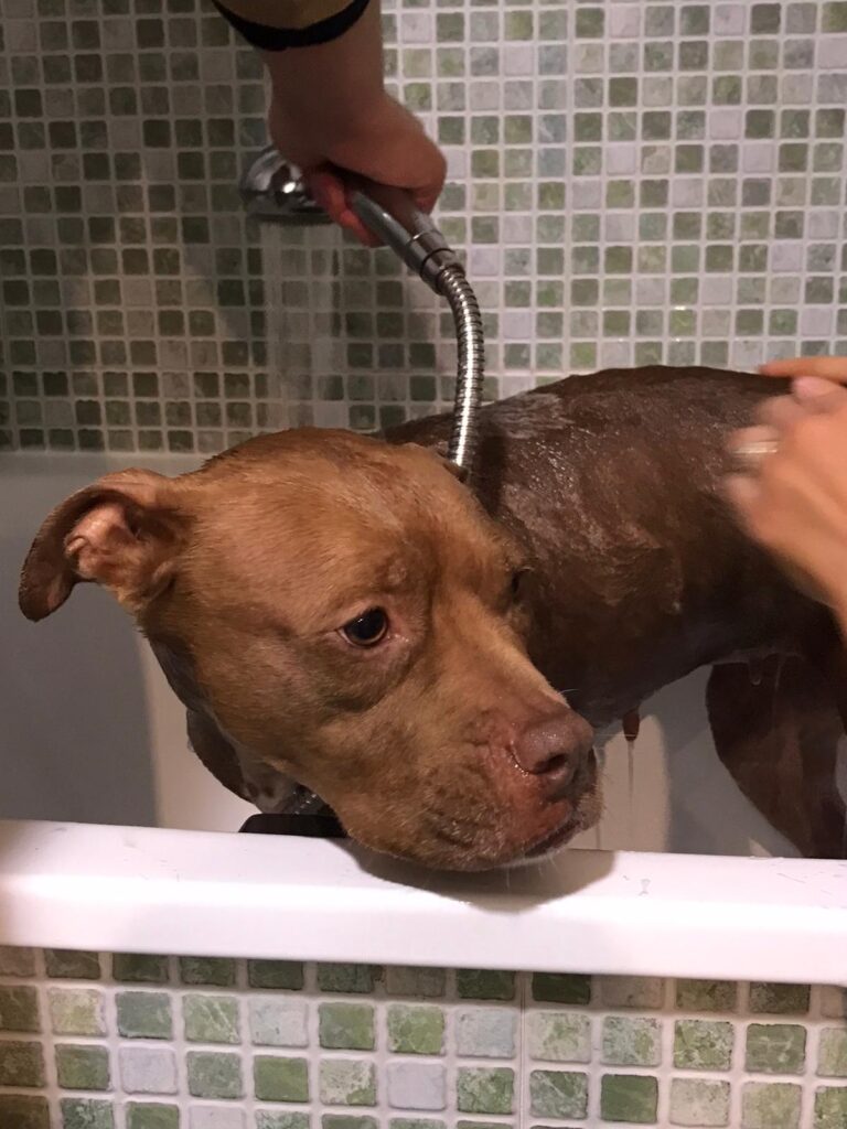 multimedia-foto62852-738-1