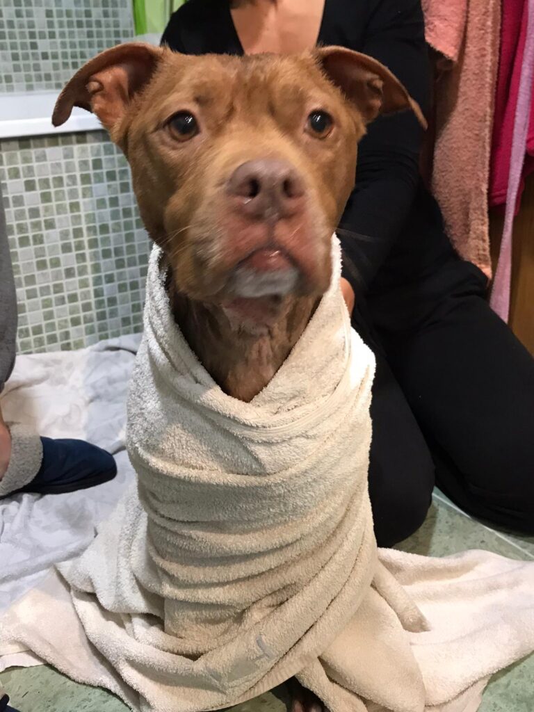 multimedia-foto62853-739-1