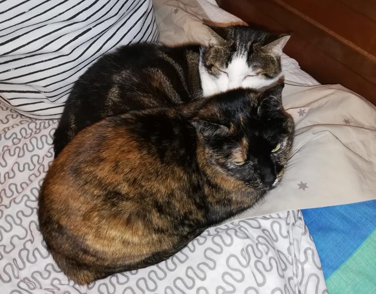 multimedia-foto62878-266-1