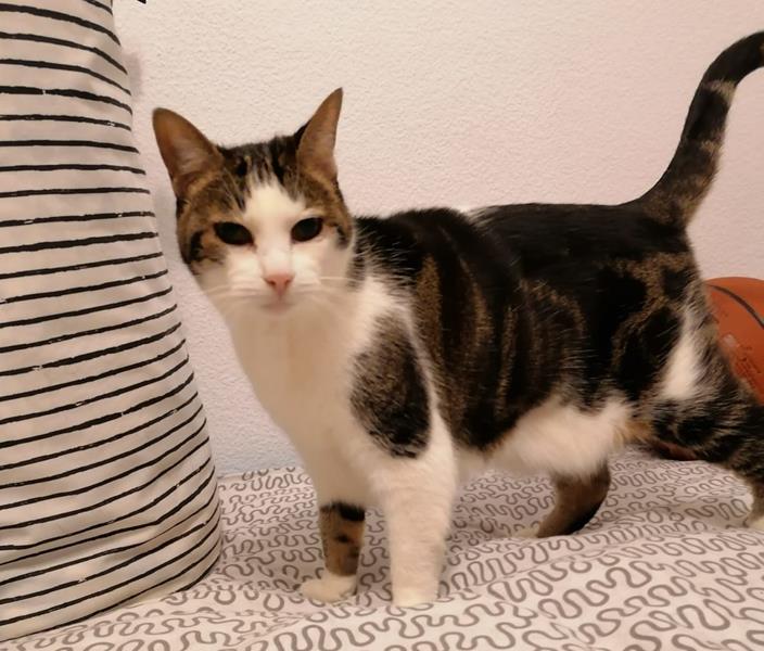 multimedia-foto62879-266-1