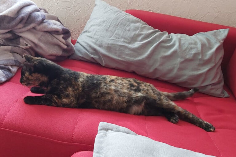 multimedia-foto62881-420-1