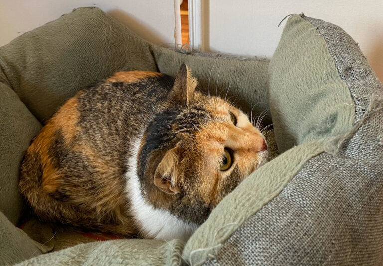 multimedia-foto62883-537-1