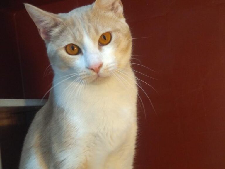 multimedia-foto62887-749-1