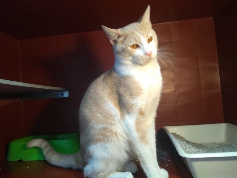 multimedia-foto62890-749-1