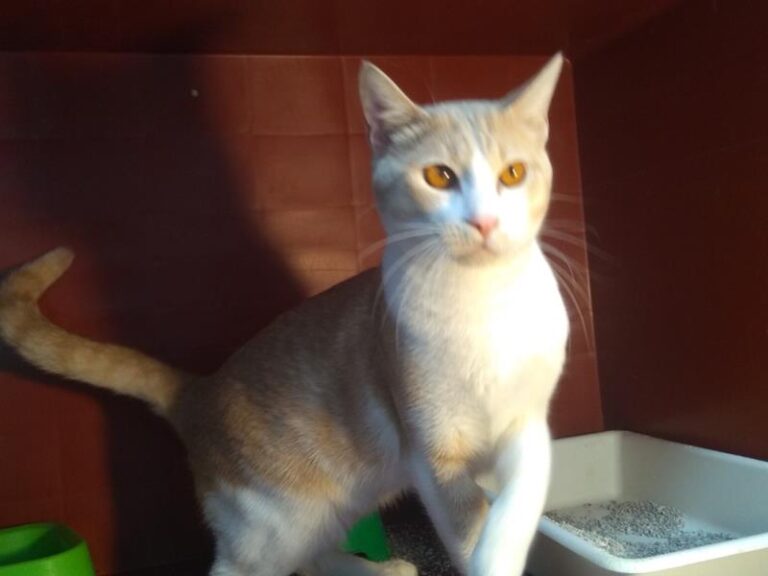 multimedia-foto62893-750-1