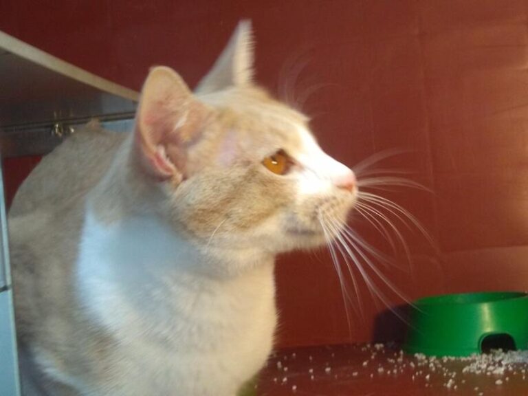 multimedia-foto62894-750-1