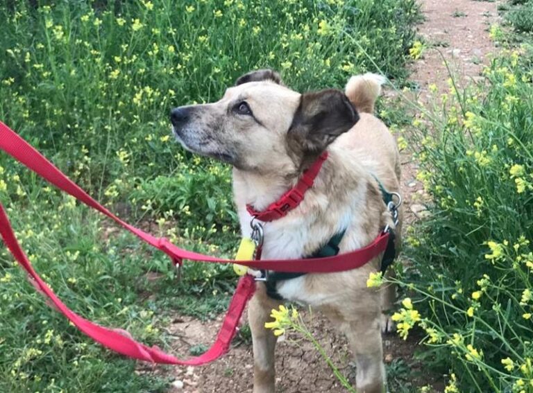 multimedia-foto62903-37-1