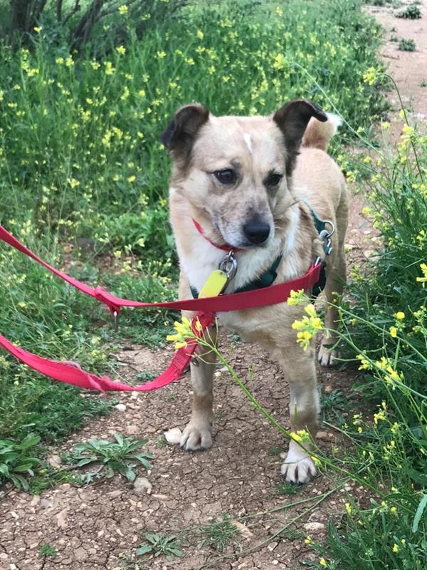 multimedia-foto62904-37-1