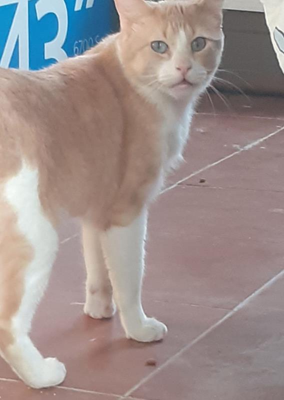 multimedia-foto62908-178-1