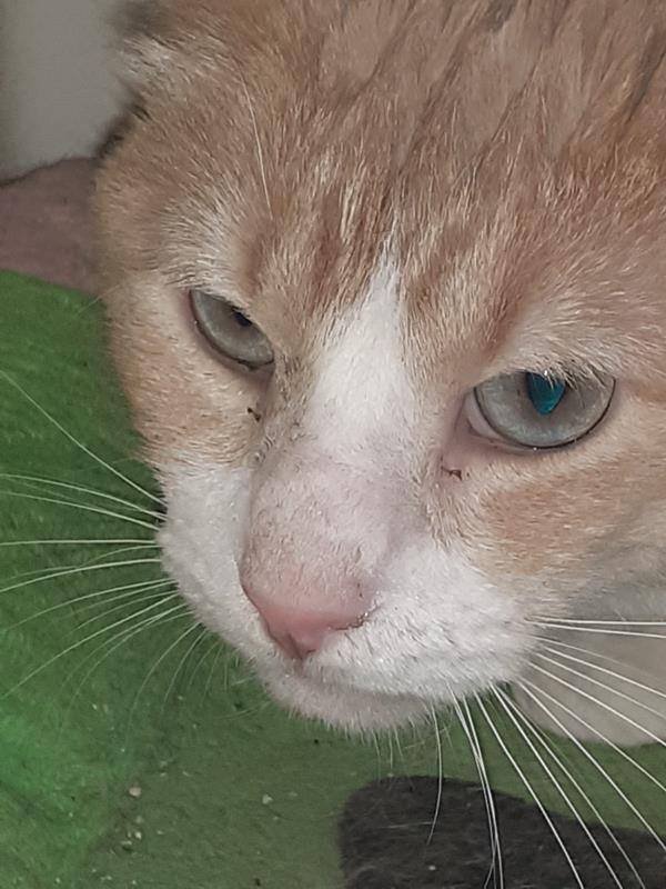 multimedia-foto62909-178-1