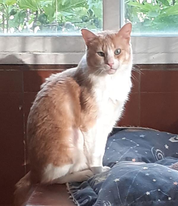 multimedia-foto62910-178-1