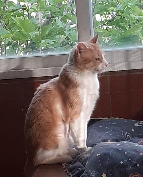 multimedia-foto62911-179-1