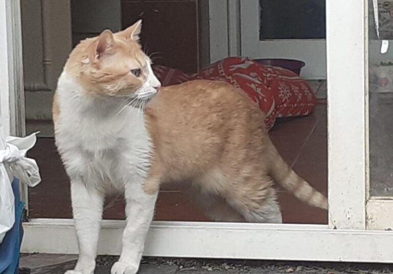 multimedia-foto62913-179-1