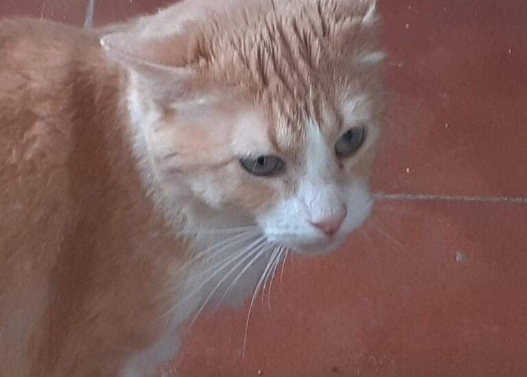 multimedia-foto62914-179-1