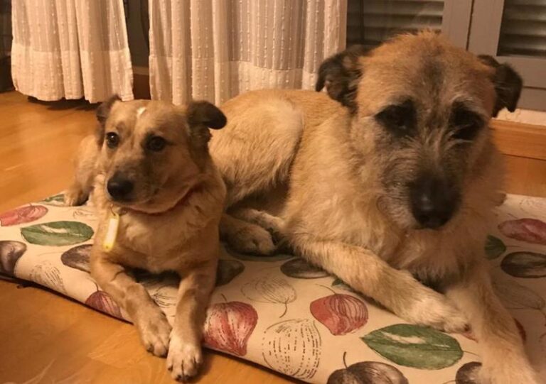 multimedia-foto62915-979-1