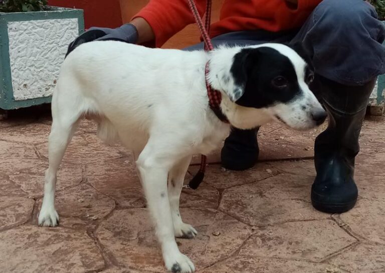 multimedia-foto62921-817-1