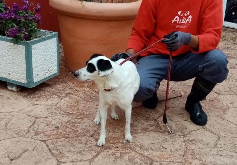 multimedia-foto62922-817-1