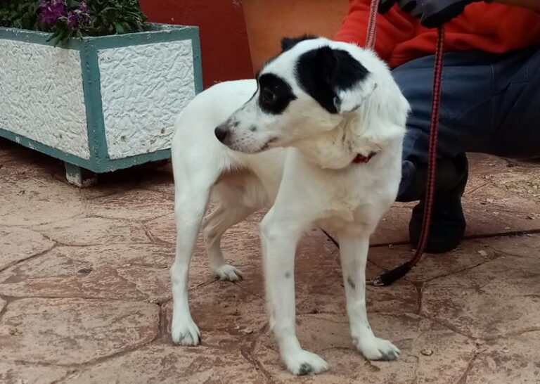 multimedia-foto62923-818-1