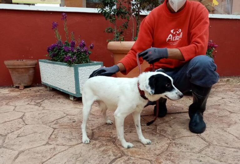 multimedia-foto62924-818-1