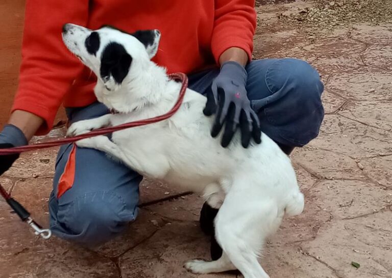 multimedia-foto62925-818-1