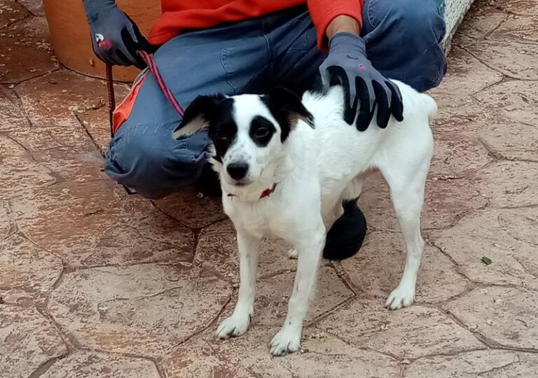 multimedia-foto62926-818-1