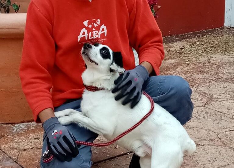 multimedia-foto62927-818-1