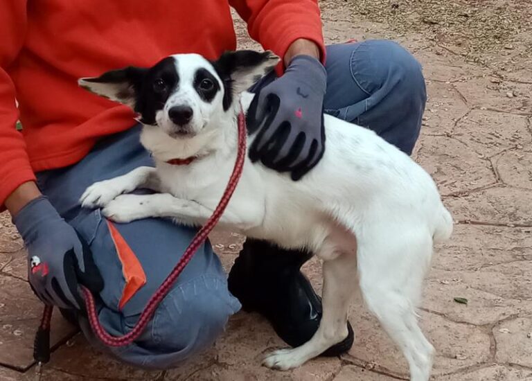 multimedia-foto62928-818-1