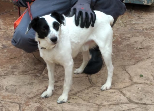 multimedia-foto62930-819-1