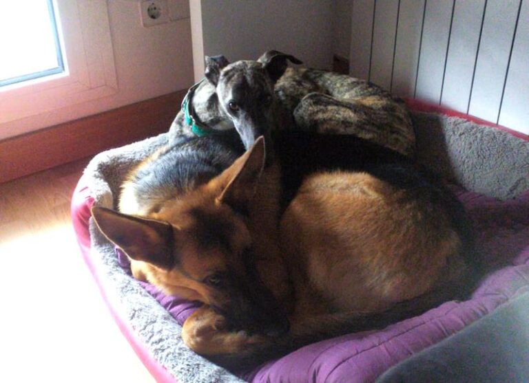 multimedia-foto63007-938-1