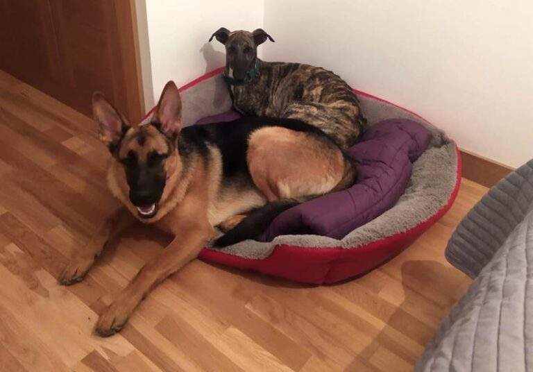 multimedia-foto63008-938-1