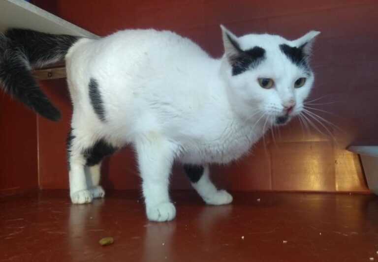 multimedia-foto63022-894-1