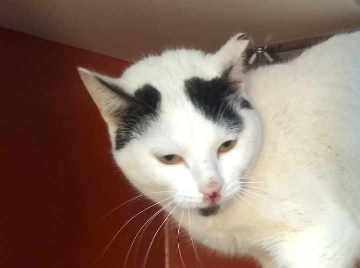 multimedia-foto63023-894-1