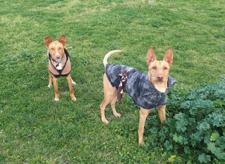 multimedia-foto63048-75-1