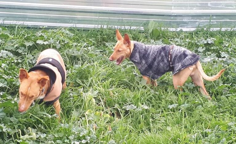 multimedia-foto63049-75-1