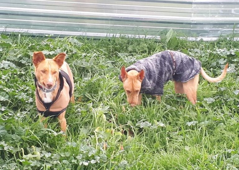 multimedia-foto63050-75-1