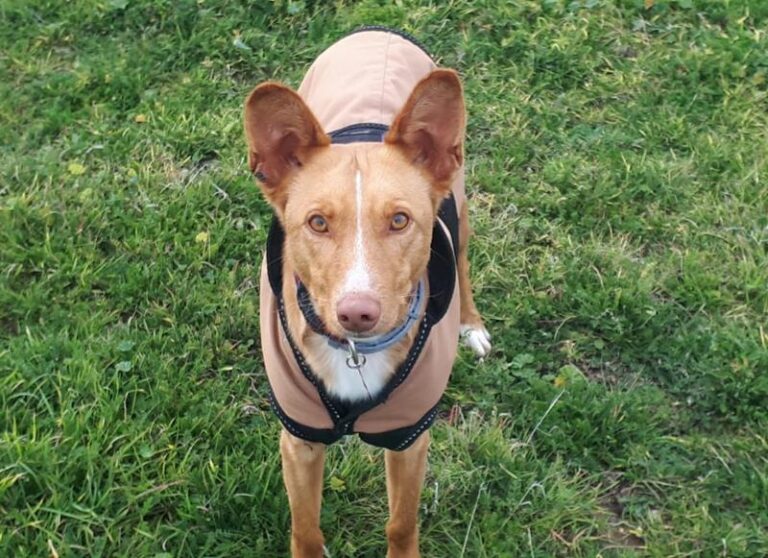 multimedia-foto63051-76-1