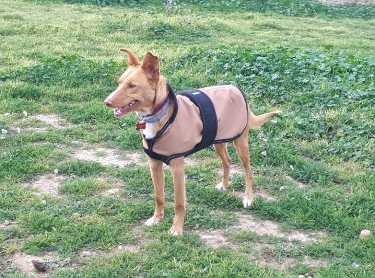 multimedia-foto63052-76-1