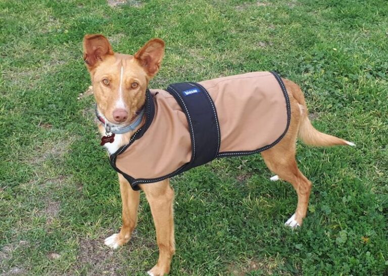 multimedia-foto63054-76-1