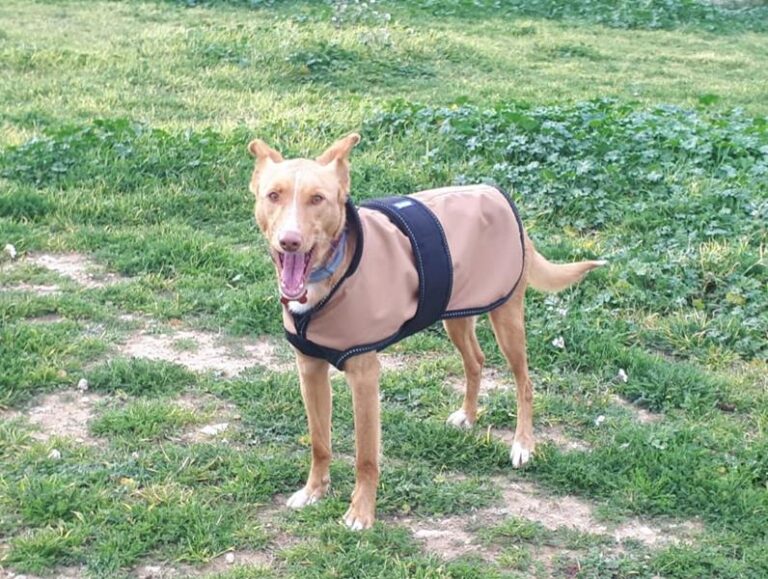 multimedia-foto63055-76-1