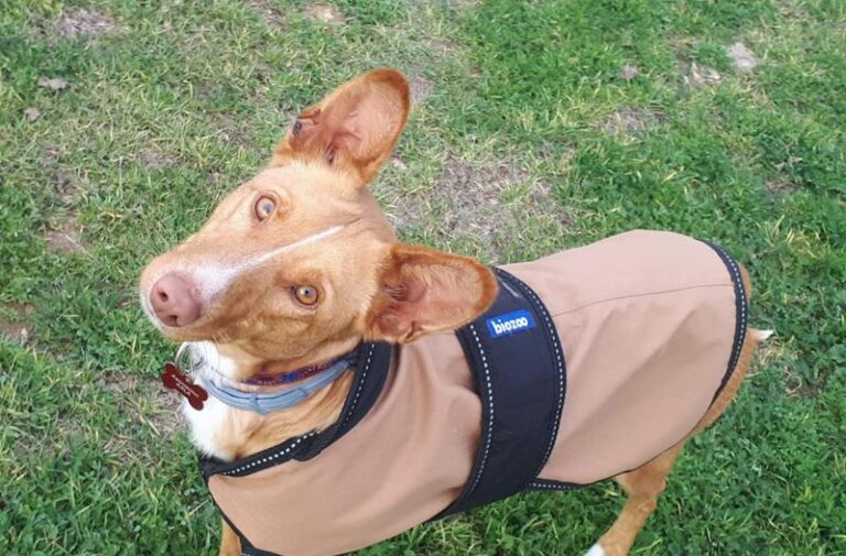 multimedia-foto63056-76-1